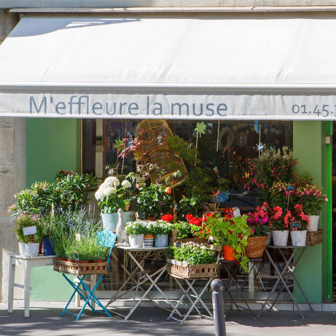 Parc Montsouris - rue dAlésia, flower shop