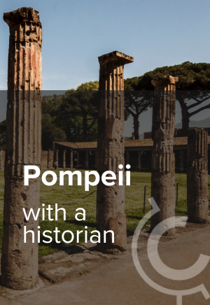 Pompeii with a Historian