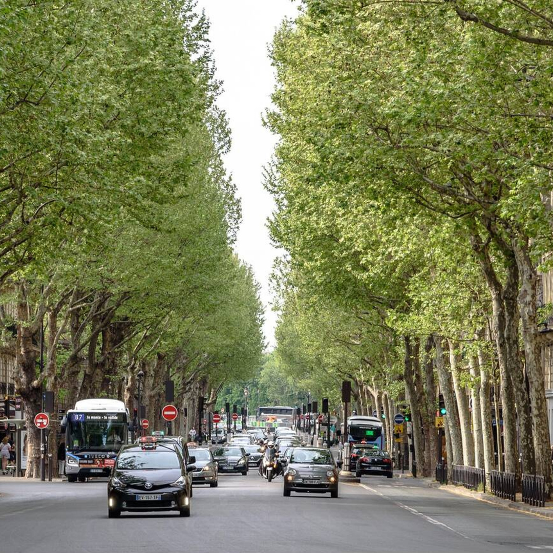 Saint Germain des Prés - Boulevard Saint Germain