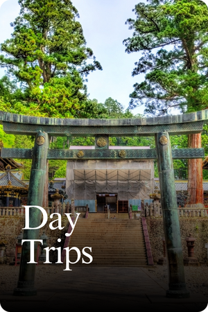Tokyo Day Trips-2