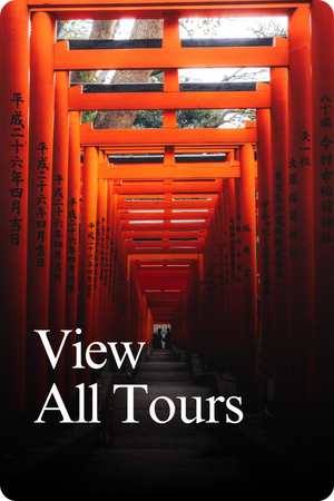 Tokyo View All Tours-1