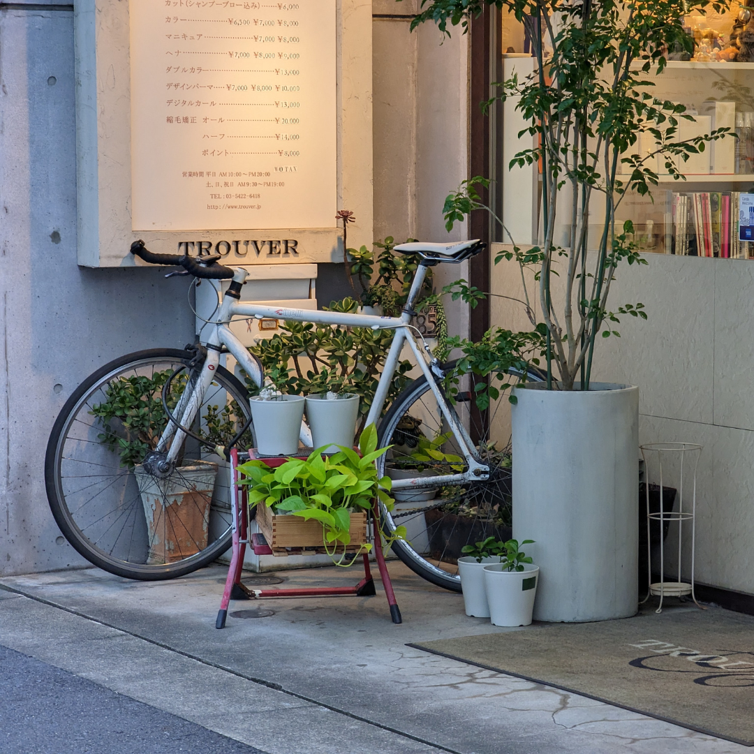 ebisu